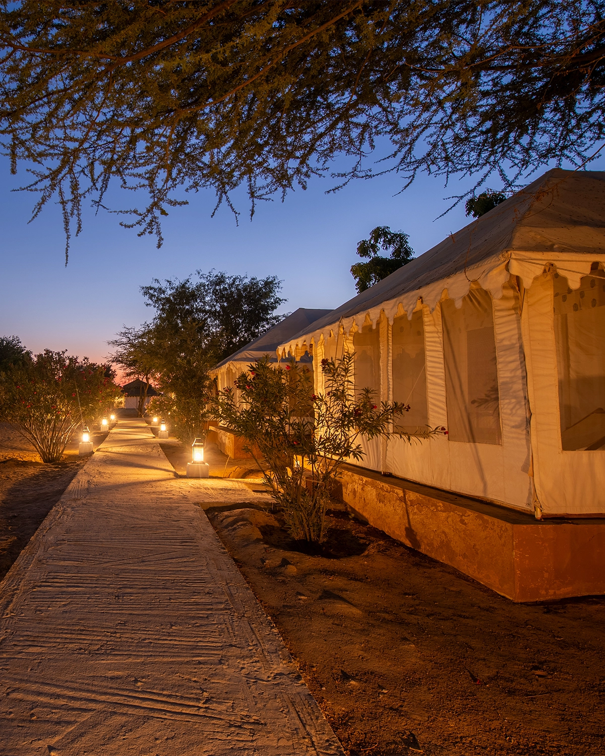 WELCOME TO WINDS DESERT CAMP